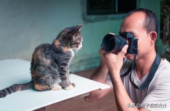 网络兼职的生意,网上兼职做什么生意比较好