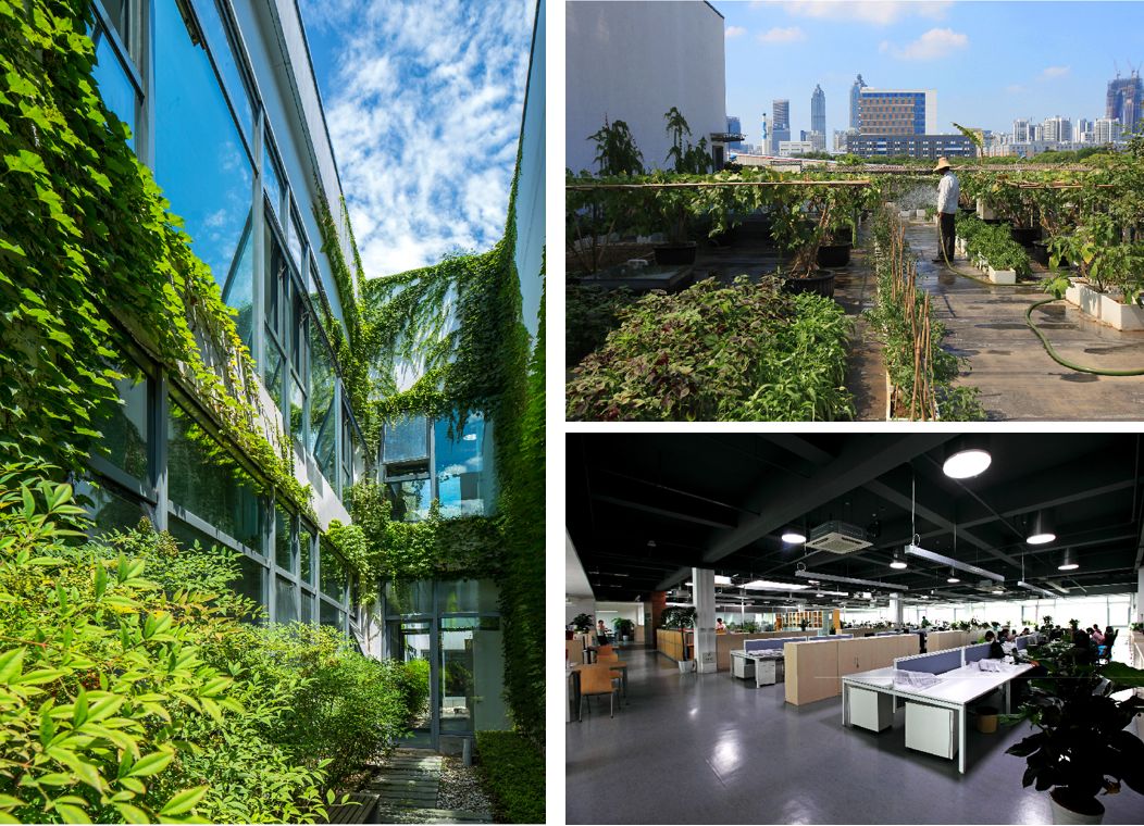 设计院出的蓝图什么样,建筑设计院盖楼照片