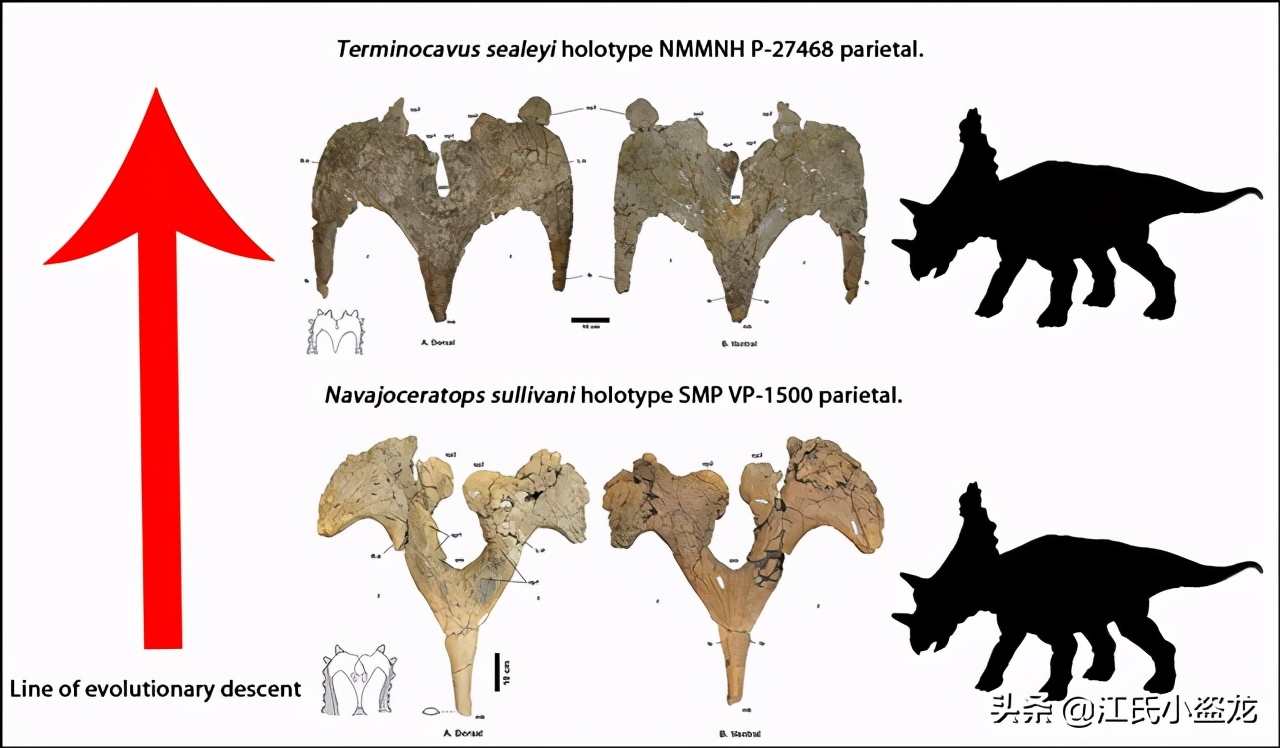 古生物生物学家,古生物科学家