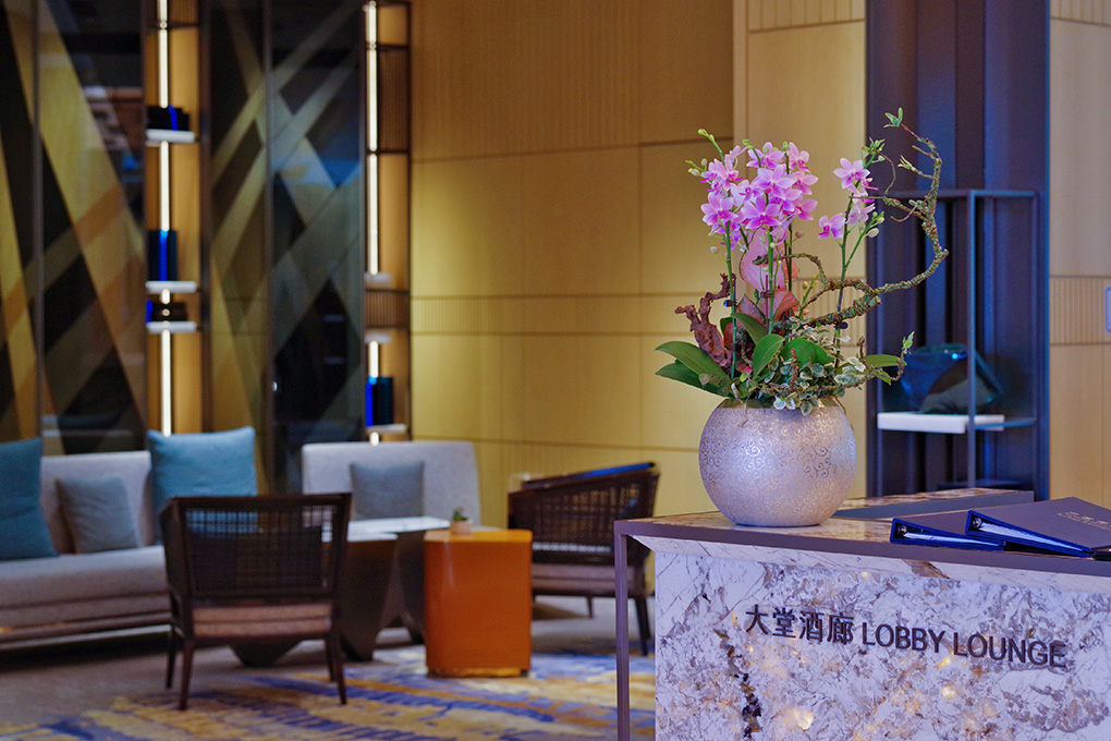 番禺万博酒店推荐,广州番禺五星级主题酒店排名