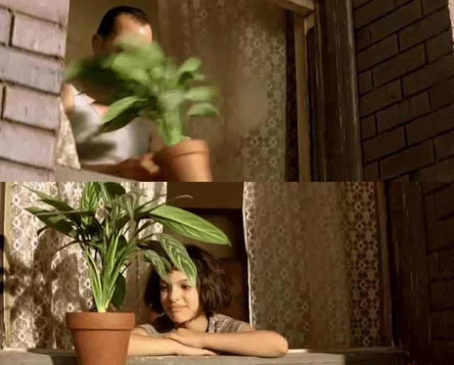 如何运用“凡学”晒娃？