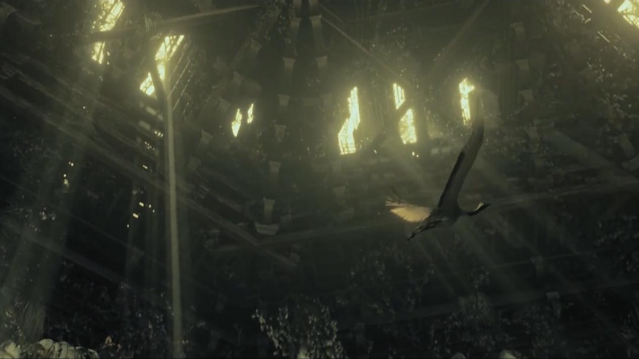 妖猫传杨贵妃知道了自己的命运,妖猫传杨贵妃的一生