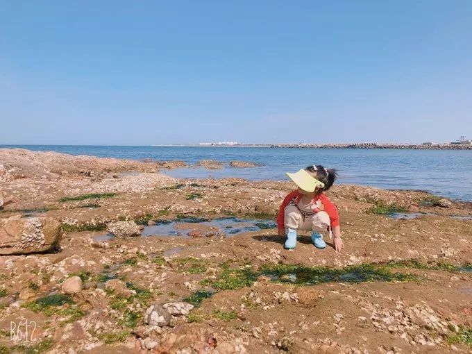 加格达奇出发鲅鱼圈旅游攻略,鲅鱼圈出发的周边自驾游