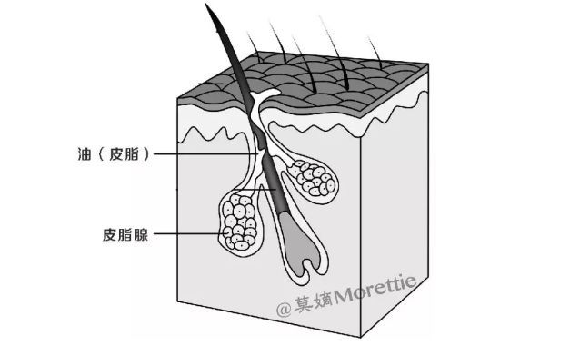 孕妇头发干枯毛躁怎么护理,老人头发干枯毛躁怎么护理