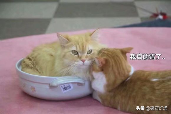 剑侠情缘3剑网三,剑侠情缘剑网3