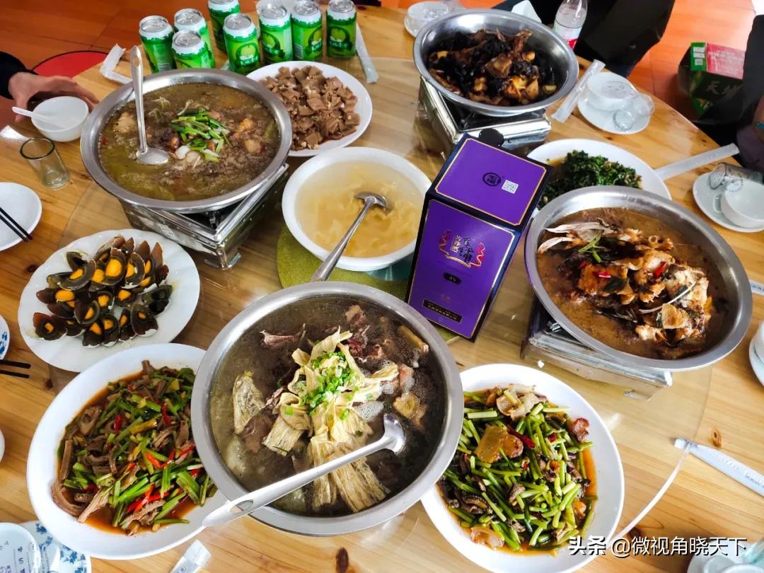 带你看看信阳的茶山美景,信阳浉河茶山直播