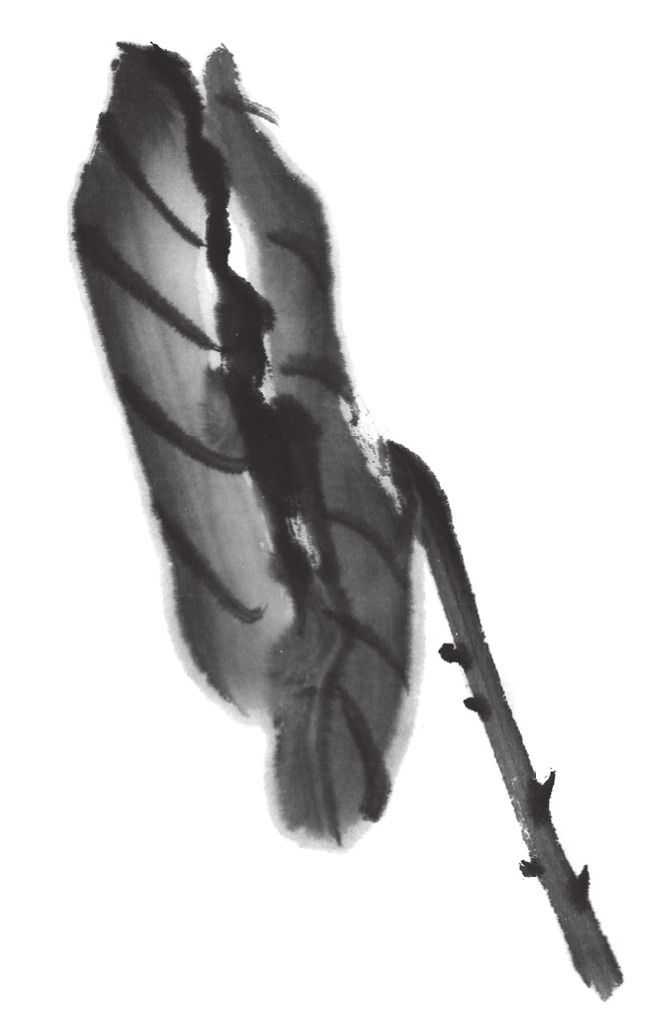 国画刘存惠荷花画法全视频,国画山水画教学视频荷花画法