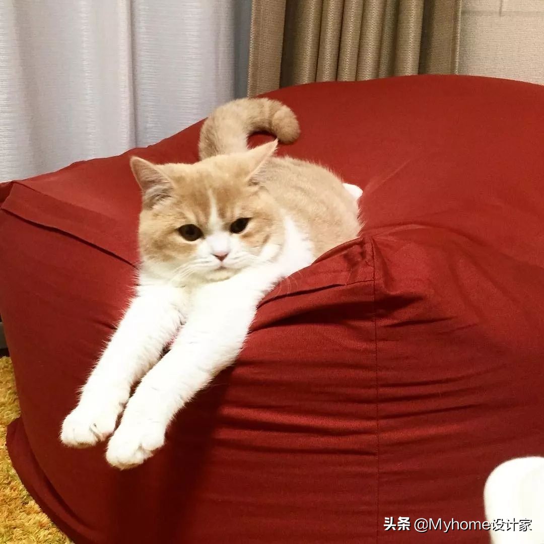 宜家muji什么档次,宜家冷门好物平价推荐