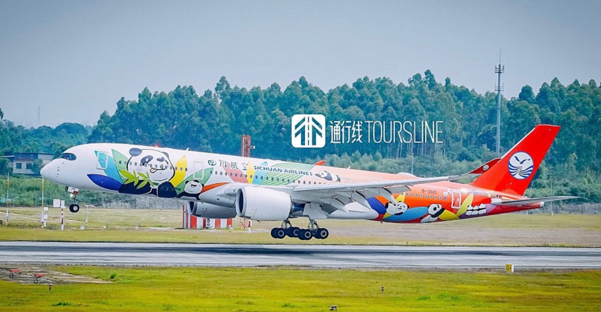 飞机注册号有什么讲究,厦门航空飞机注册号