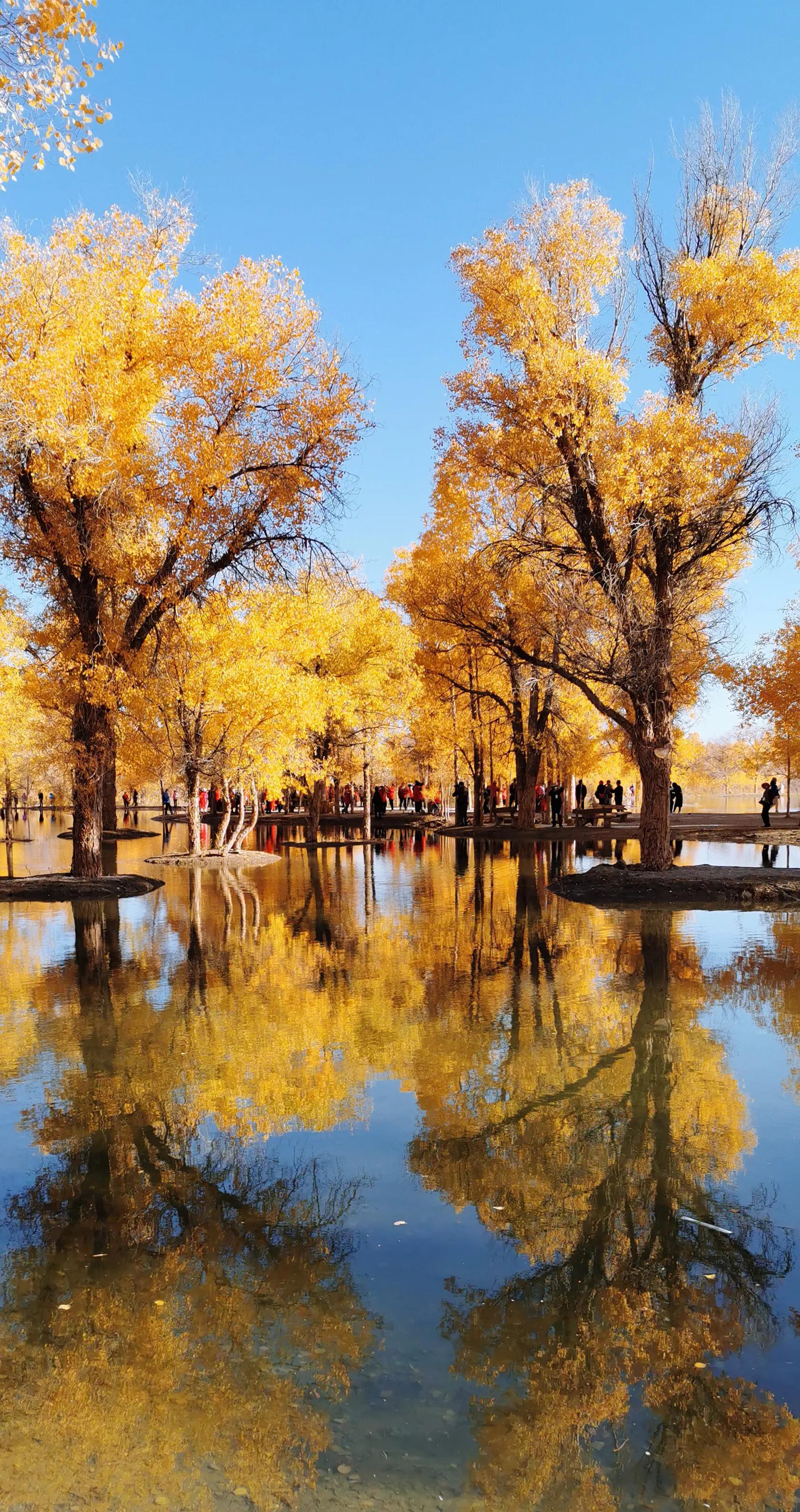 手拍世界投稿,手拍世界作品专集