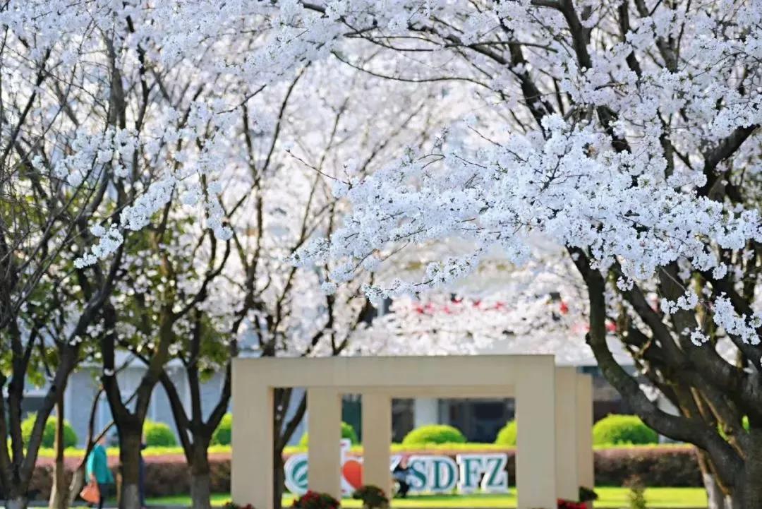 杭师大附中一段上线率,杭师大附中是重高吗