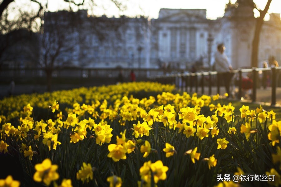 p2p倒闭了钱还能拿回来吗,p2p倒闭了还用还钱吗