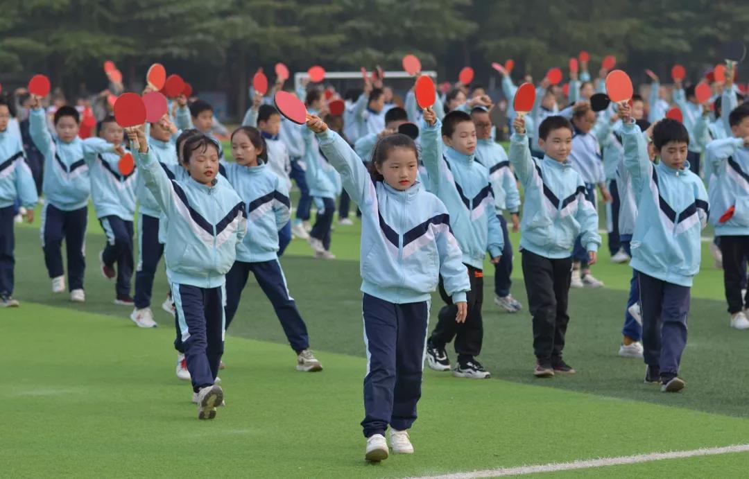 运动赛场展雄姿征文,运动盛会展风采