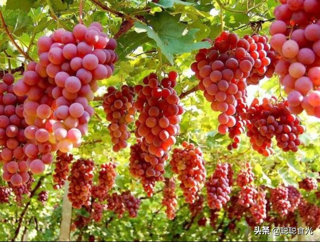 新疆真是个好地方风景如画,新疆真是个神秘又美丽的地方