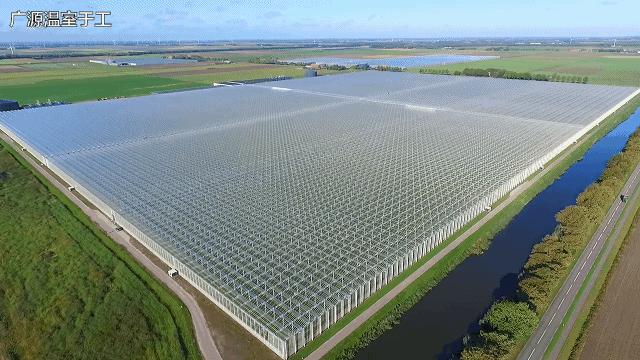 荷兰温室多少钱一平米,为什么玻璃温室荷兰都在用