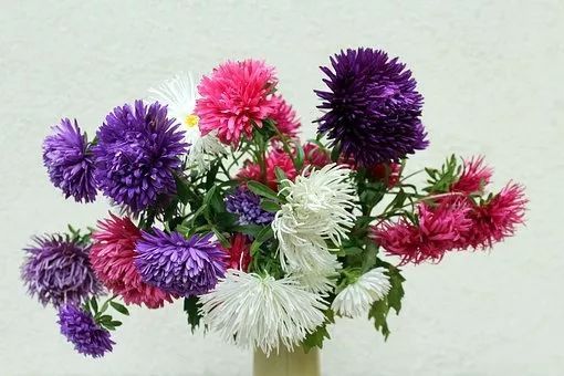 人物事迹传奇故事,人物事迹案例