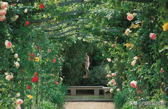 520/521：五月阳光下，伦敦依然盛放。记得常回来看看