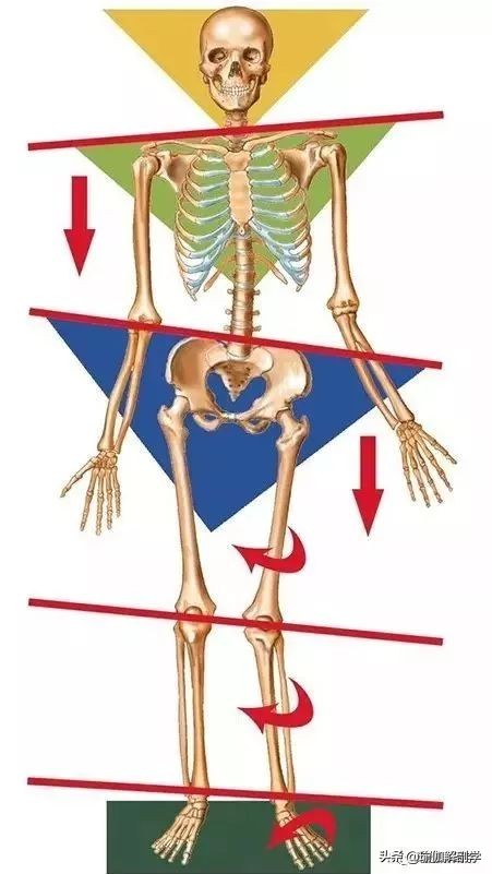 练瑜伽胯部不灵活怎么办,练瑜伽骨盆不对称