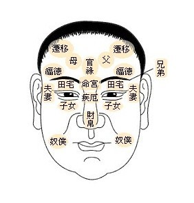 相学十二宫位详解图,易经解读面相里的十二宫部位图