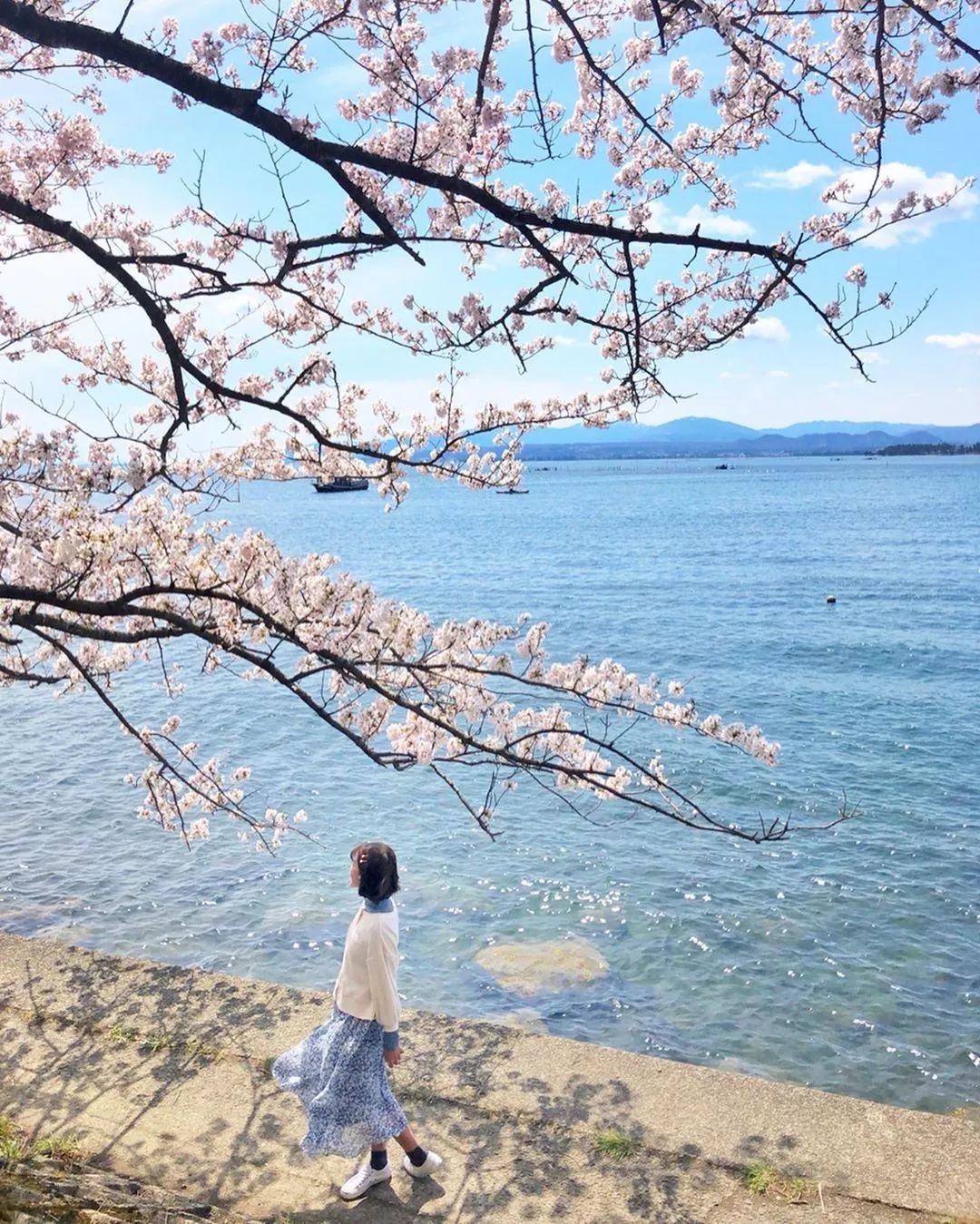 名古屋的机票,名古屋机票价格