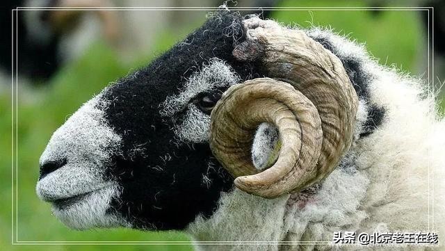 英国湖区景点排行榜,英国旅游推荐海边旅游景点