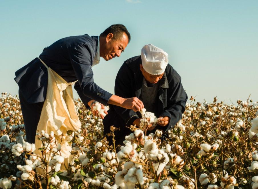 打脸了！耐克暴涨2000亿重回巅峰，郑强教授一语点醒众人