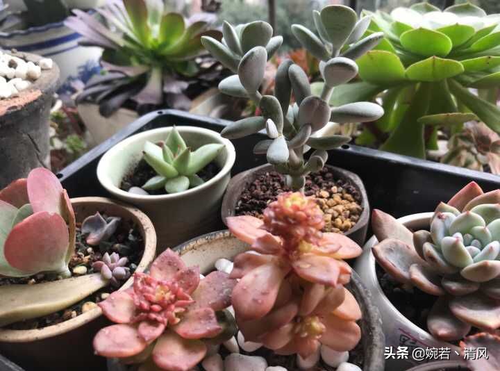 一个人可以极简主义到什么程度,一个极简主义的人有多强大