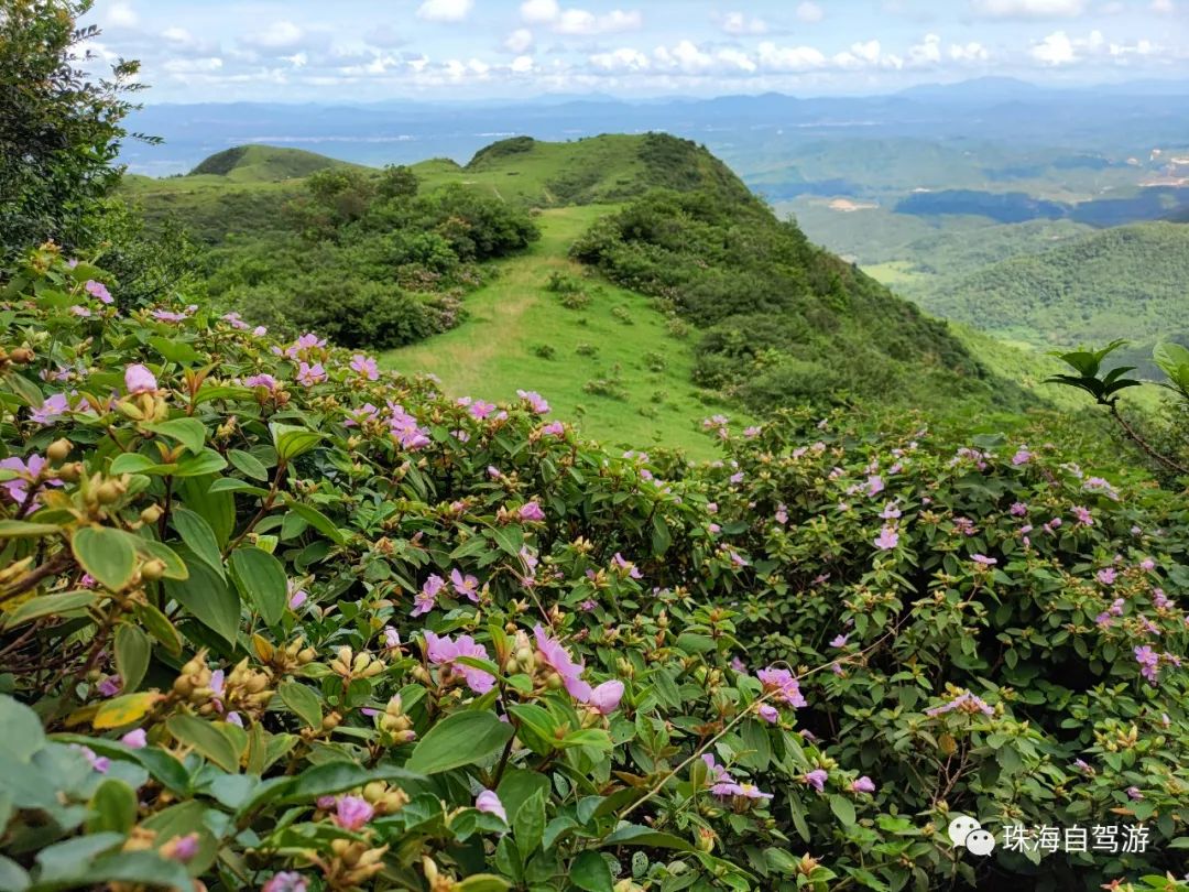 大山峰水牛坪露营记,东岸岭露营徒步