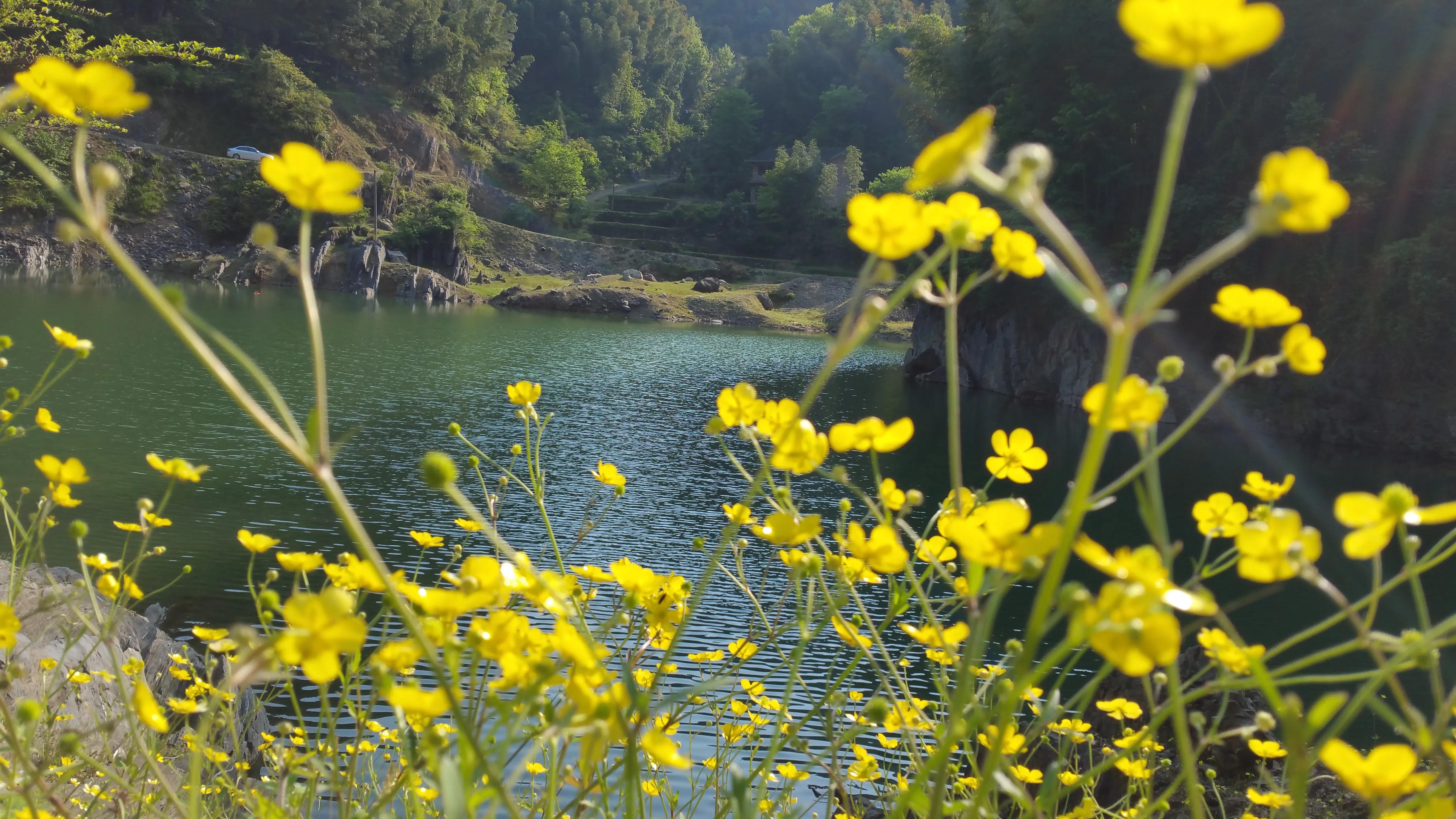 匆匆那些年的回忆，陪我一起折腾过的三星手机们
