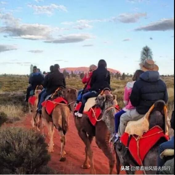 澳大利亚极致之旅,来澳大利亚必买