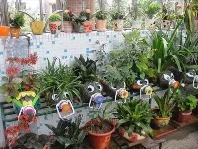 自制养花滴水瓶教程图片,手工自制花瓶养花教程图片