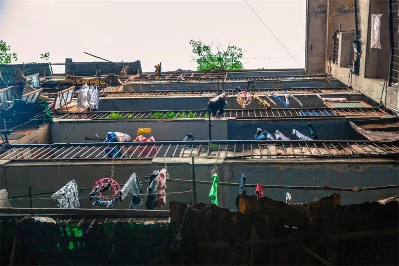 在石家庄生活需要什么条件,在石家庄生活中的技巧