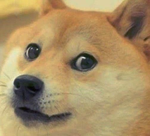 a站b站n站是什么意思,网友说的a站b站什么意思