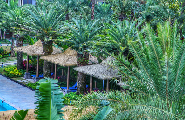 陵水度假酒店攻略,陵水海滨度假酒店