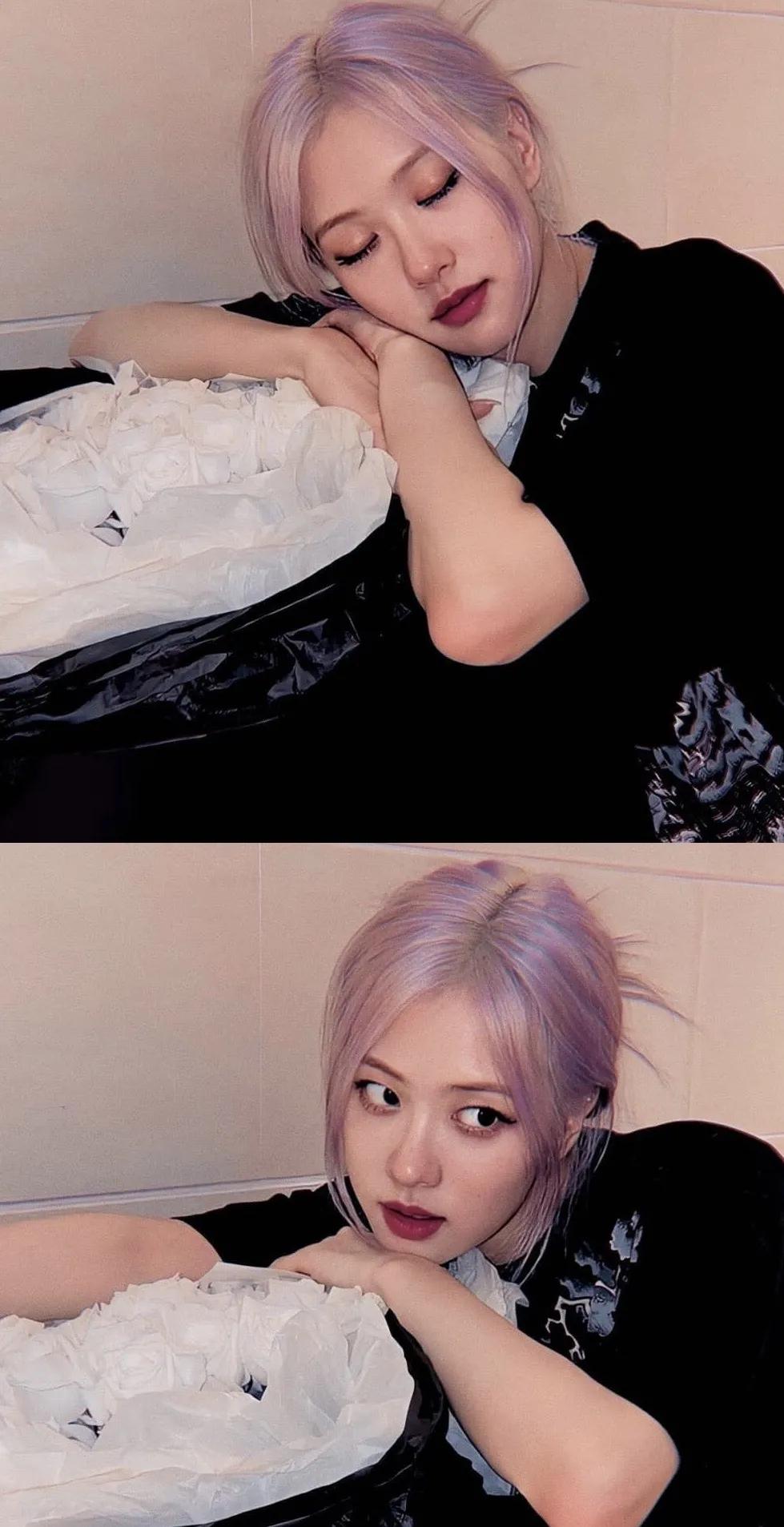 blackpink的朴彩英rosie,blackpink朴彩英澳洲玫瑰歌名