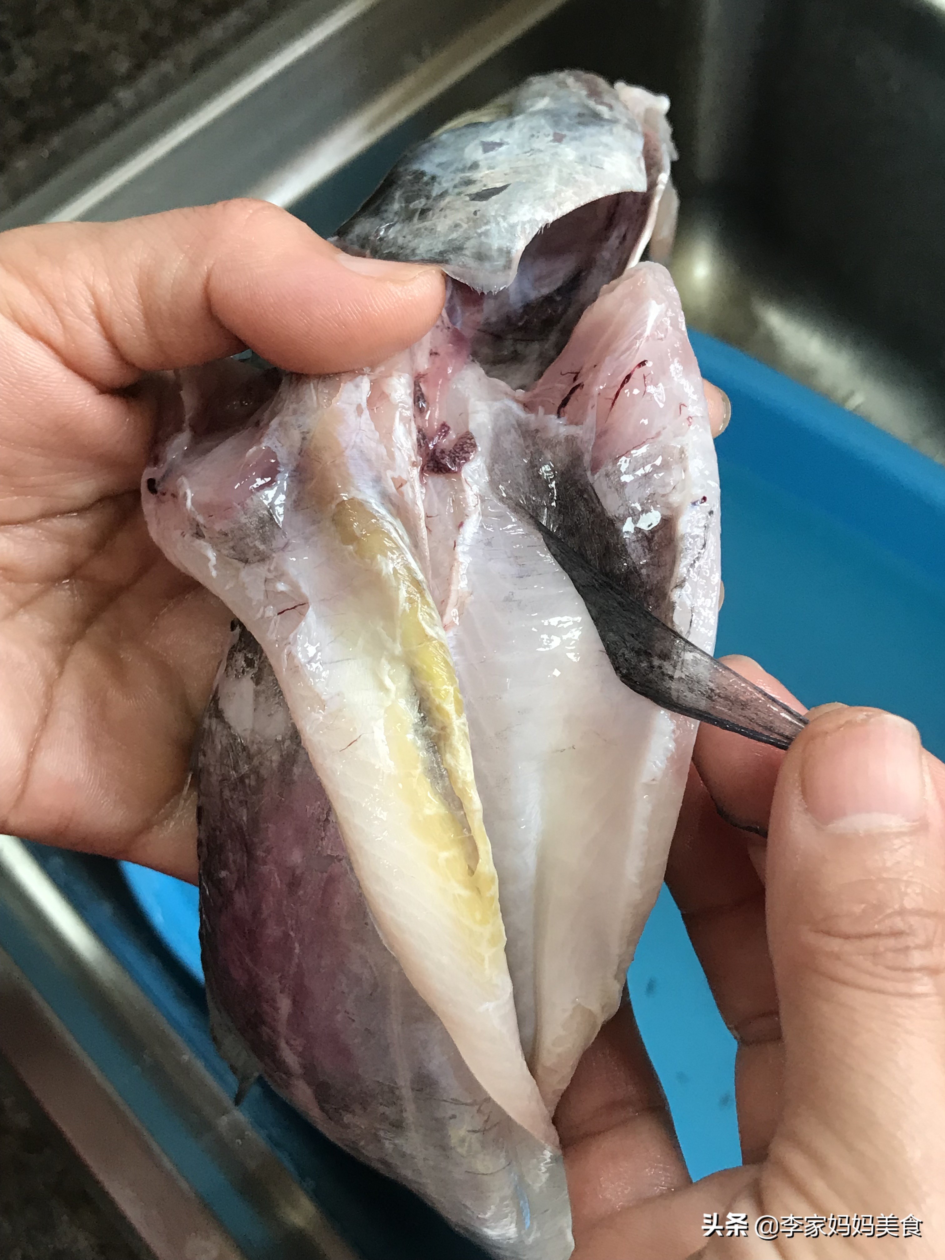 无论炖什么鱼一定要记住小常识,无论煮什么鱼都要记住