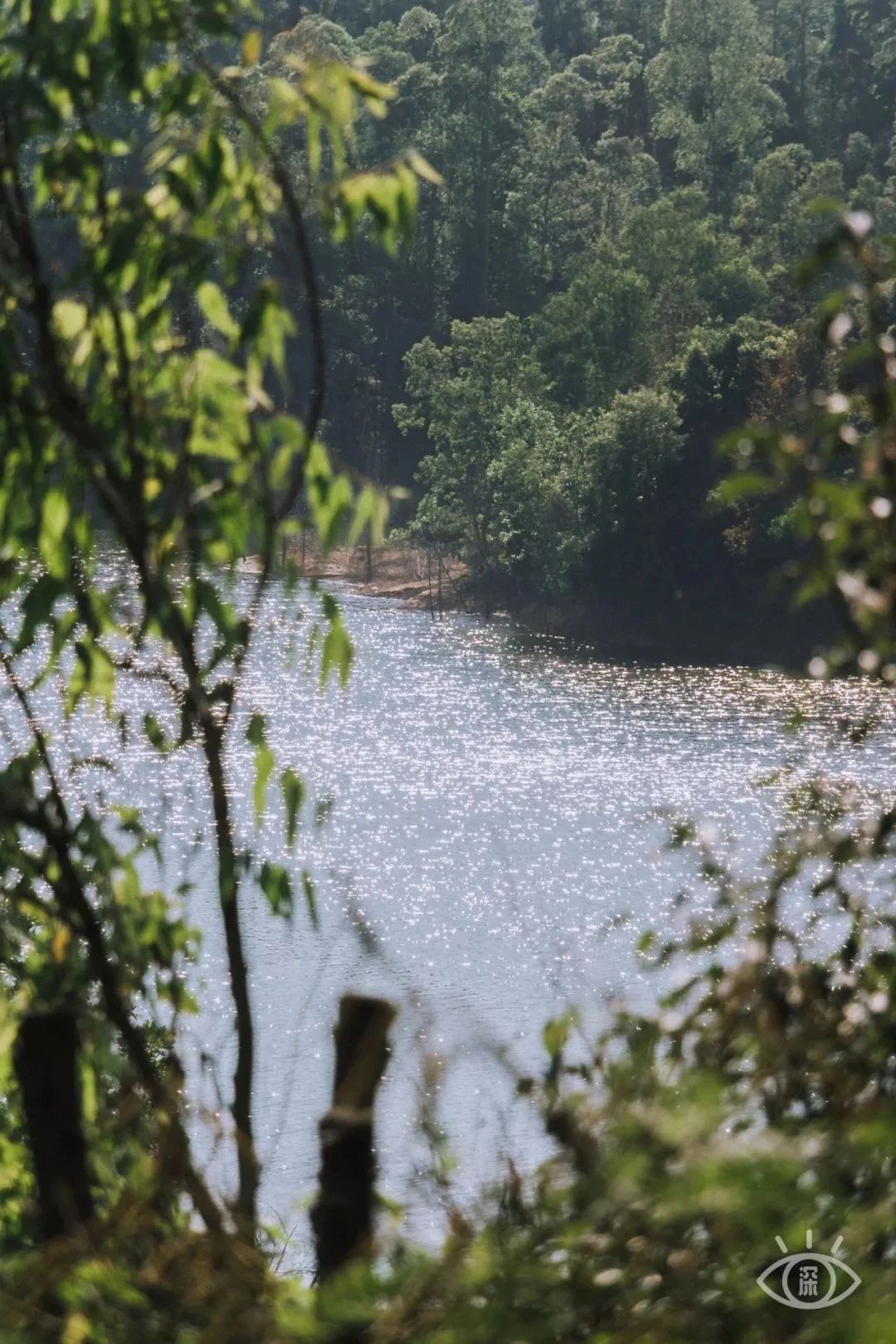 放假在深圳能去哪里玩,放假了可以去深圳的哪些地方玩
