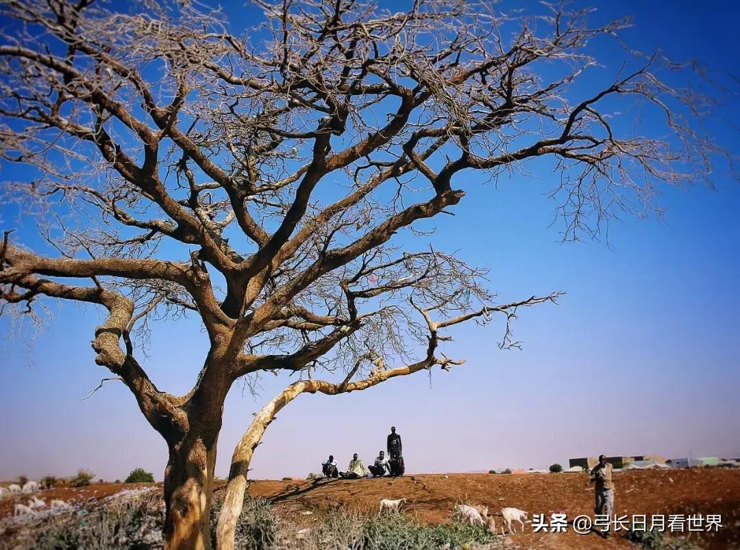 一年旅行20个国家,旅行中国一年大概要花费多少钱