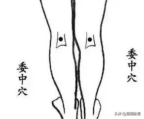 真正的正确拍打穴位,拍穴位调百病养生操