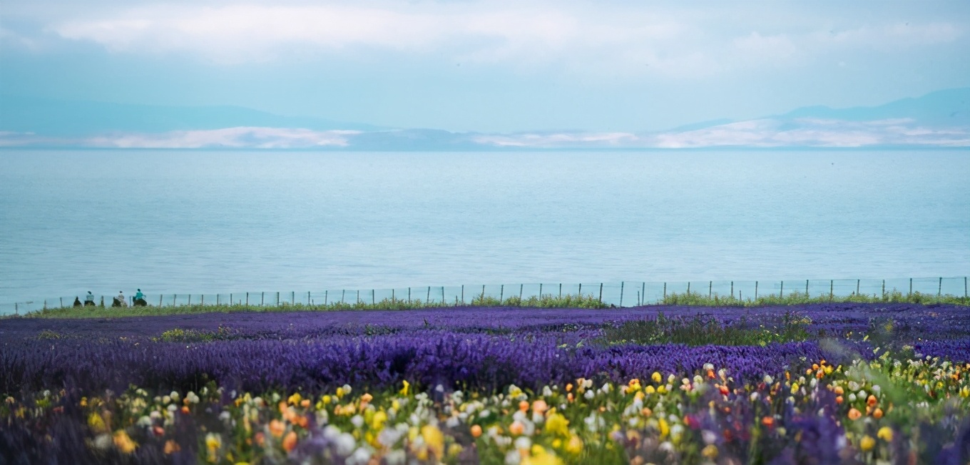 七八月份青海湖旅游攻略图集大全,青海湖7月攻略