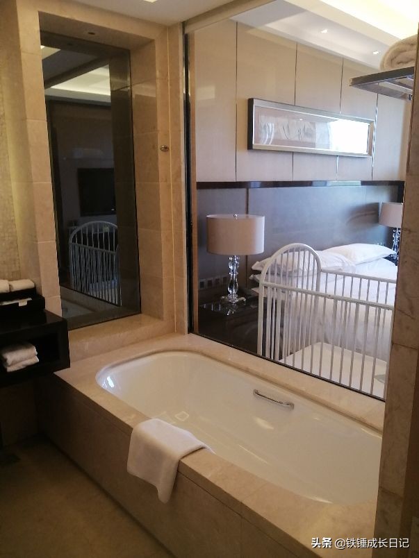 北京市延庆野生动物园,北京野生动物园攻略一日游路线图