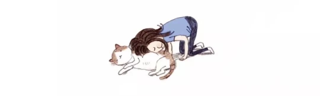 养猫咪新手入门必知疫苗怎么打,新手养猫疫苗怎么打