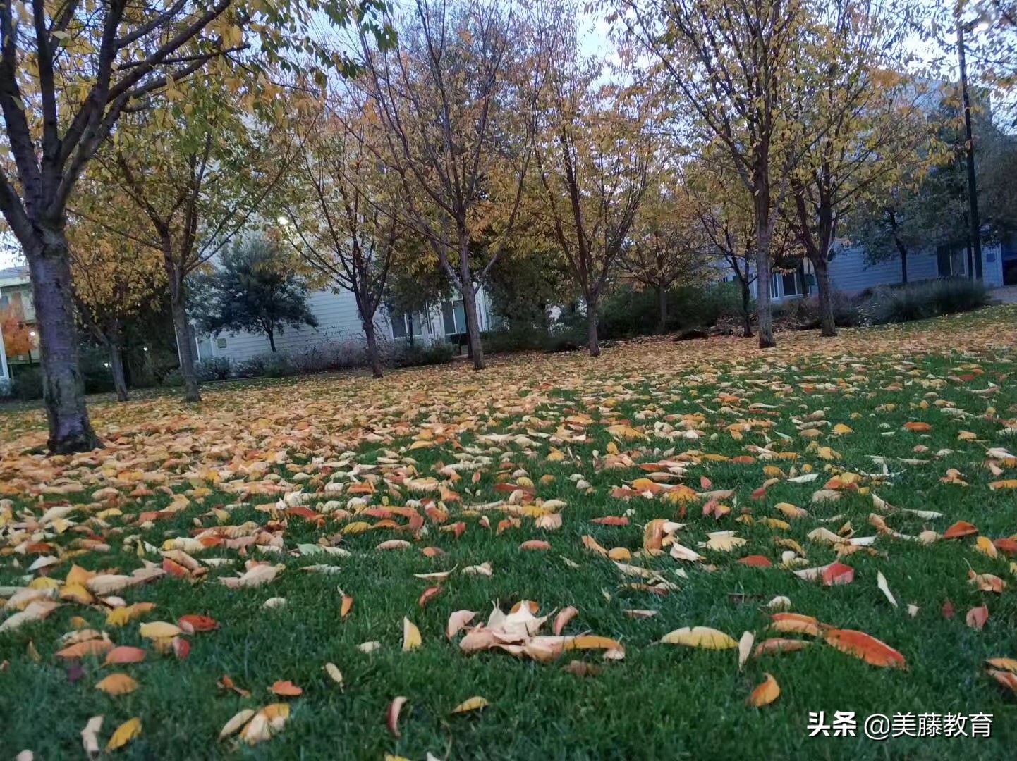 申请美国研究生时间流程,美国gpa2.7如何申请研究生