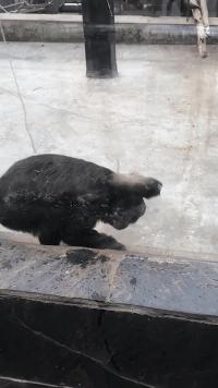 可爱搞笑图片可直接保存,搞笑图片现在的年轻妹纸真会玩啊