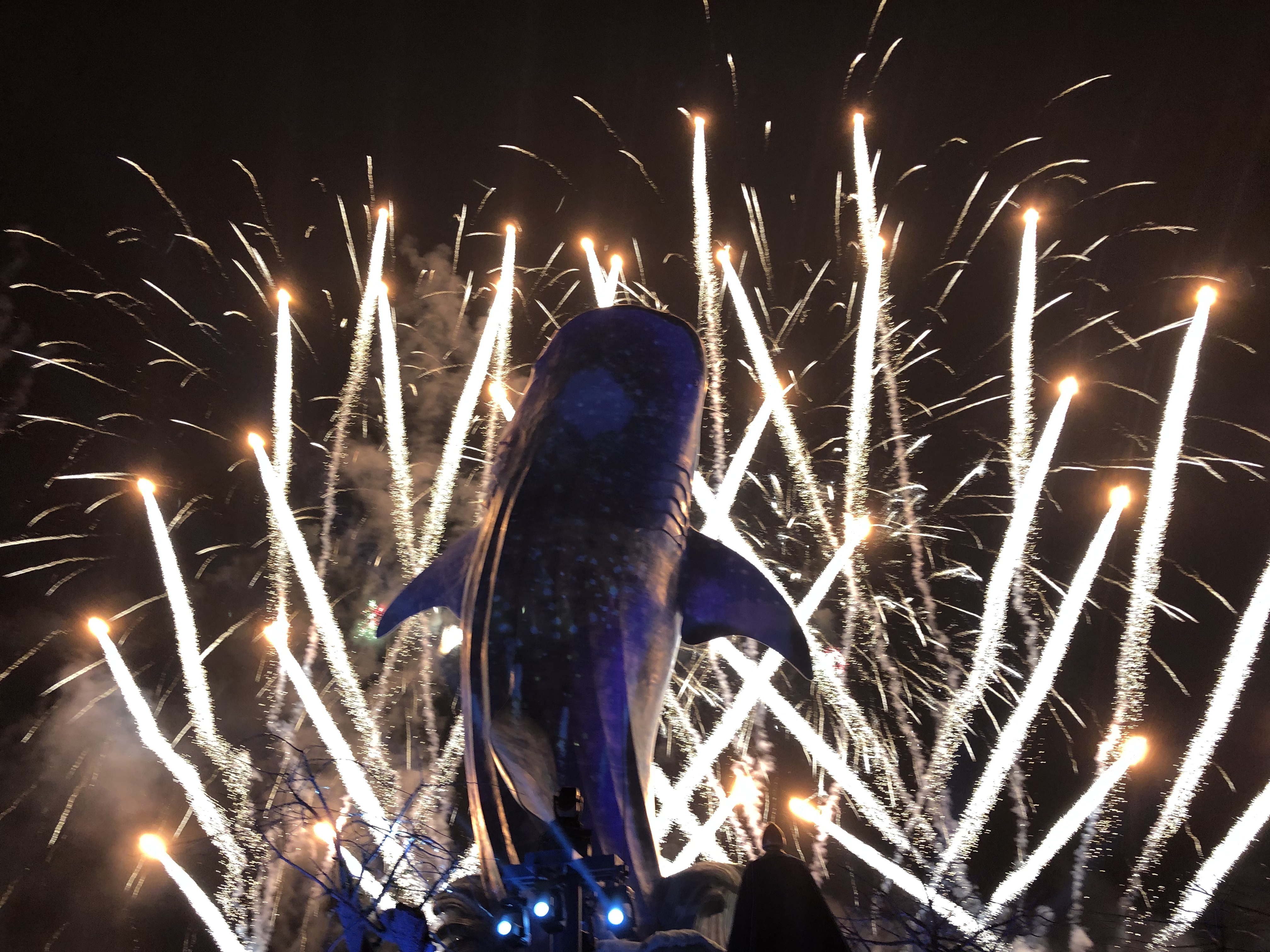 寒假带孩子去长隆玩什么,长隆寒假旅游攻略