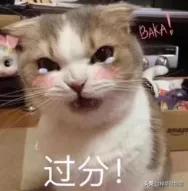 你的眼膜上白名单了吗？