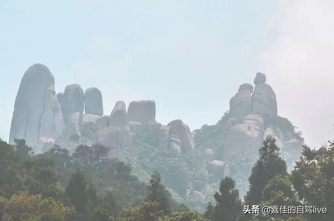 福鼎一日游学生攻略,福鼎两日自由行攻略