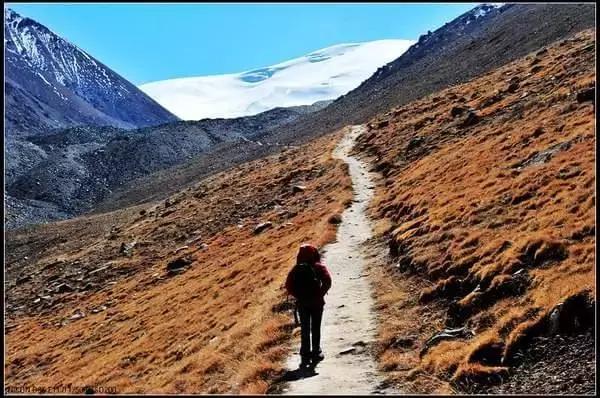 催收行业深度解析,催收行业值得长期发展吗