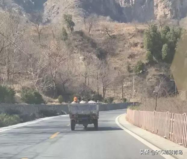 三轮车的进化史,国产三轮车进化史