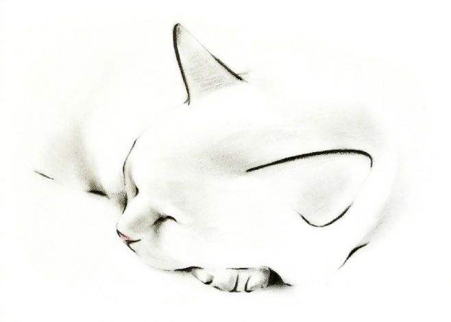 美式复古插画猫,插画猫咪线条